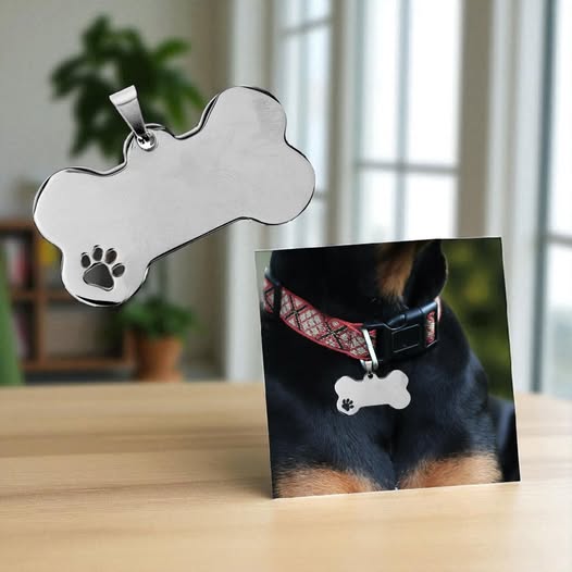 Création Personnalisé: Collier pour animal