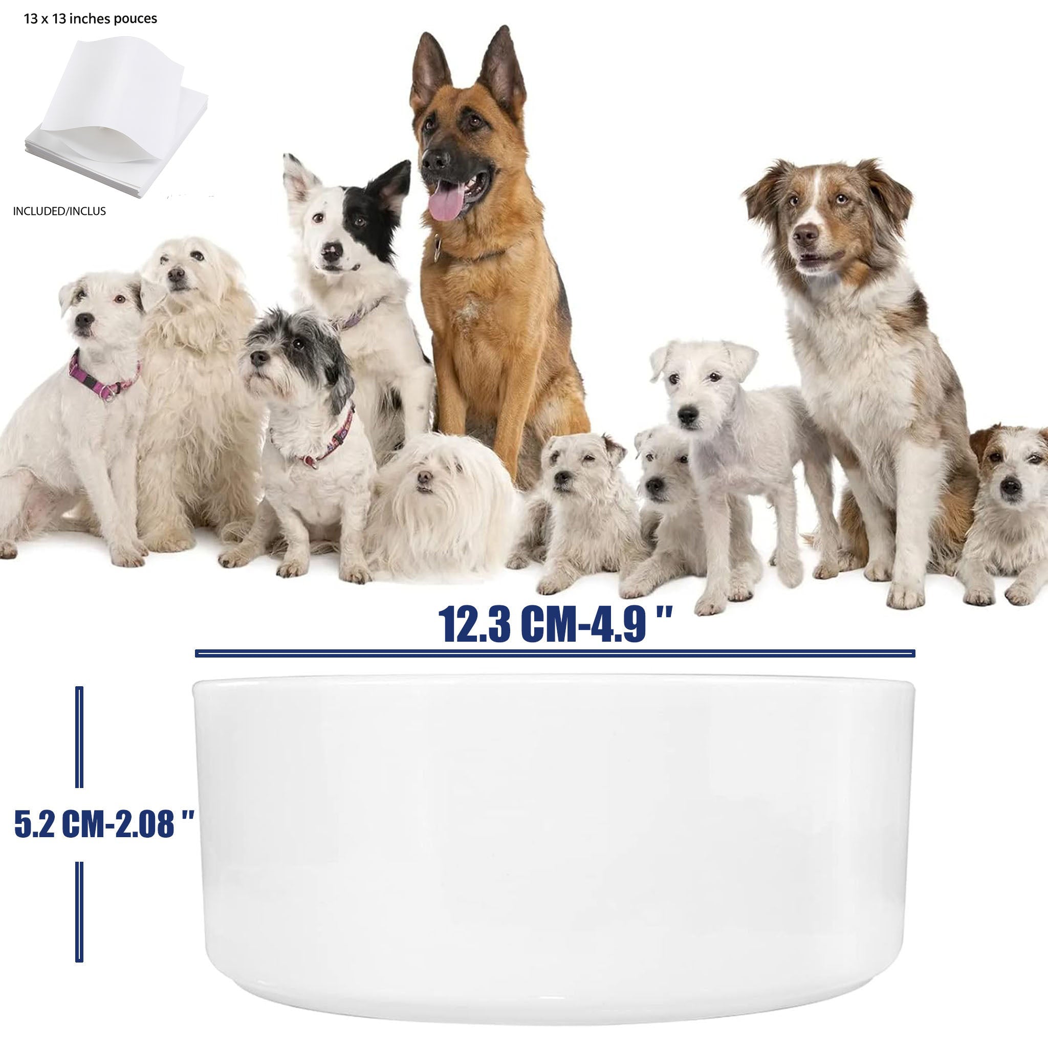 Petit bol en céramique pour animal à personnaliser
